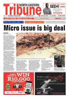 North Eastern Tribune 14 February 2020